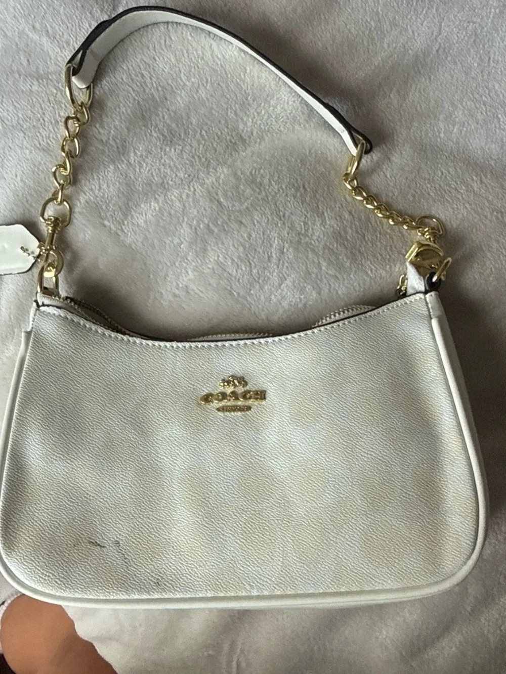 Coach disney collab